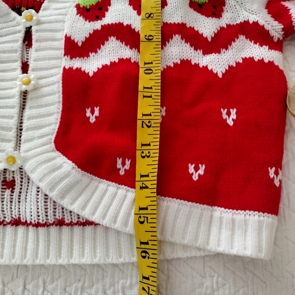Dolls Kill X Strawberry Shortcake Berry Charms Intarsia Sweater Sz M - Picture 8 of 8